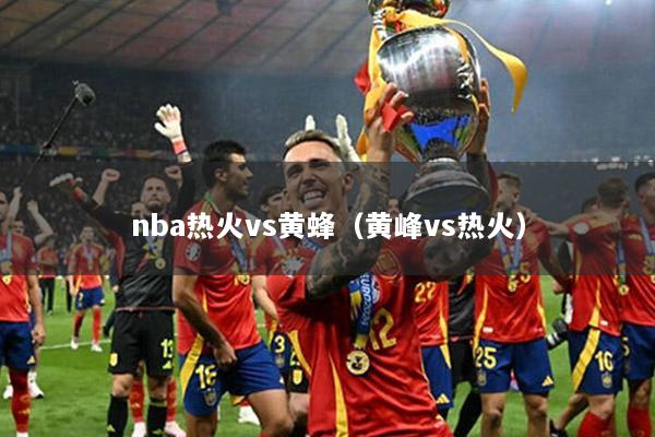 nba熱火vs黃蜂（黃峰vs熱火）